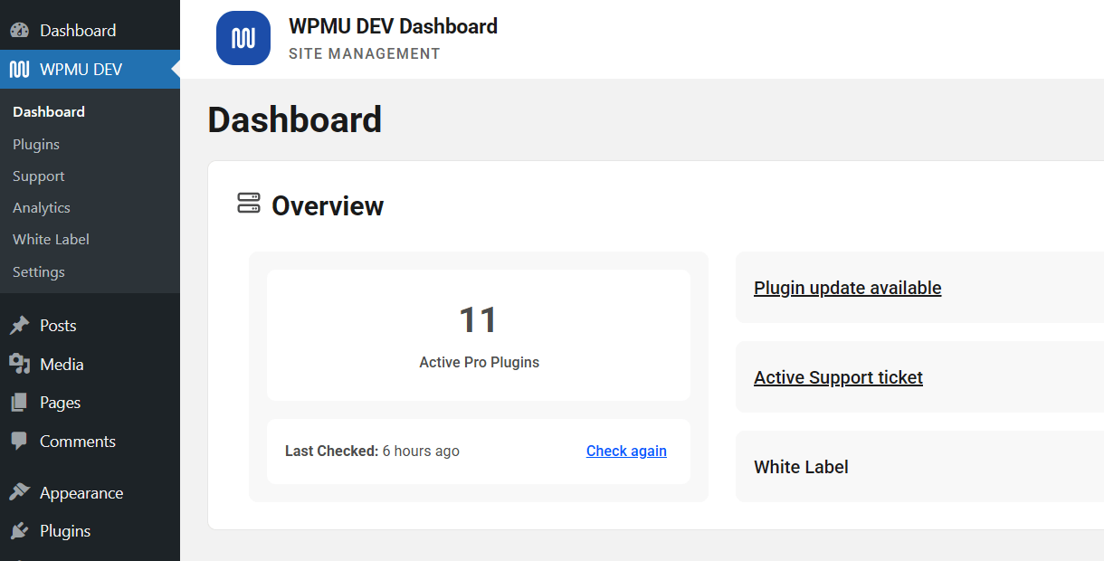 Accessing the WPMU DEV Dashboard
