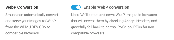 Enable WebP conversion