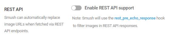 enable rest api support