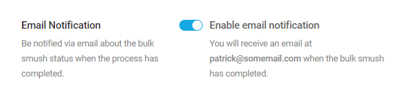 Bulk Smush email notification setup