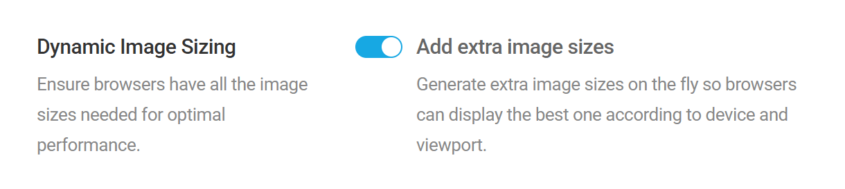 Dynamic Image Sizing option in Smush CDN