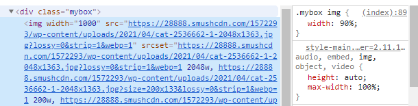 Example of image resized in CSS