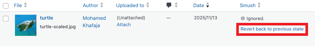 Revert back to previous state