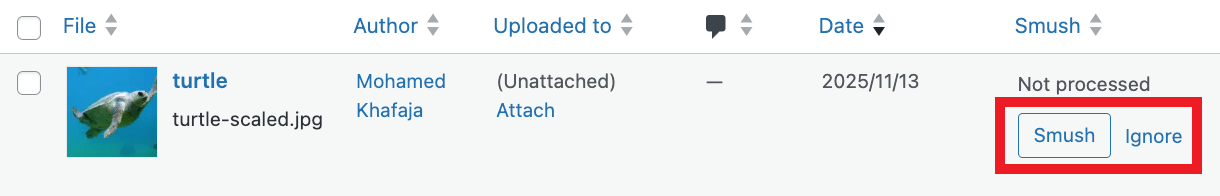 Choose to Smush or Ignore individual images