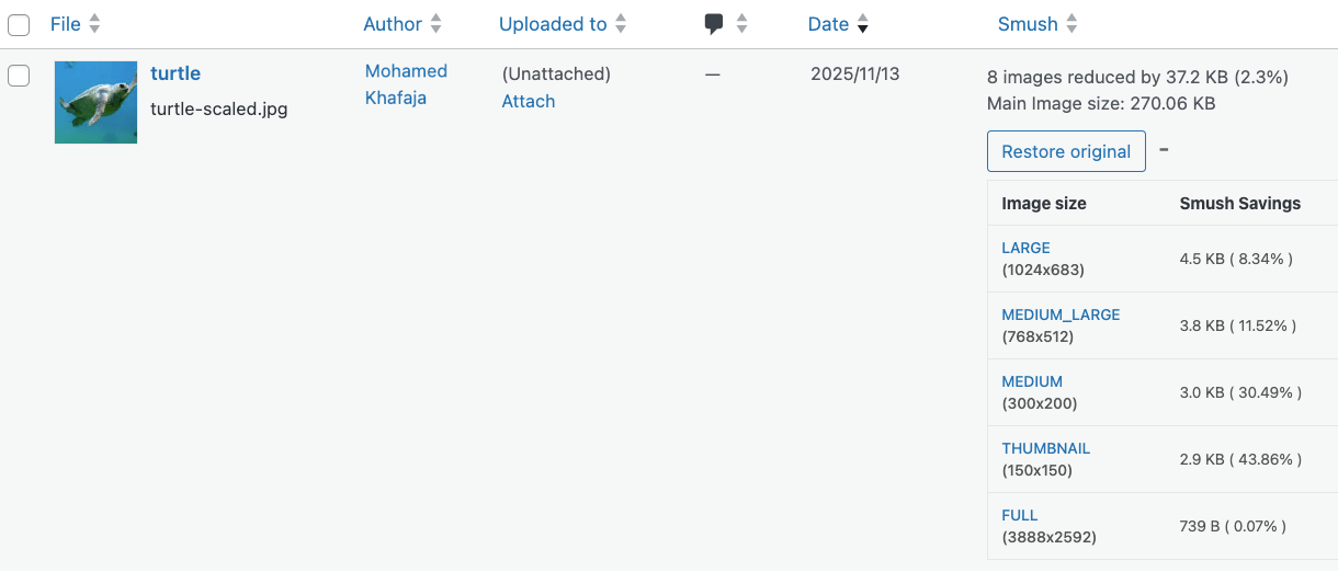 View Smush stats for an image