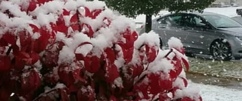 20191107 160321 479x200