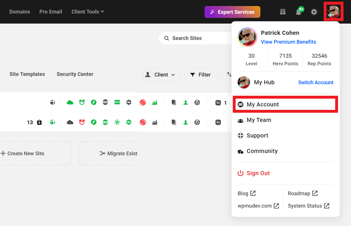 Link to your WPMU DEV account