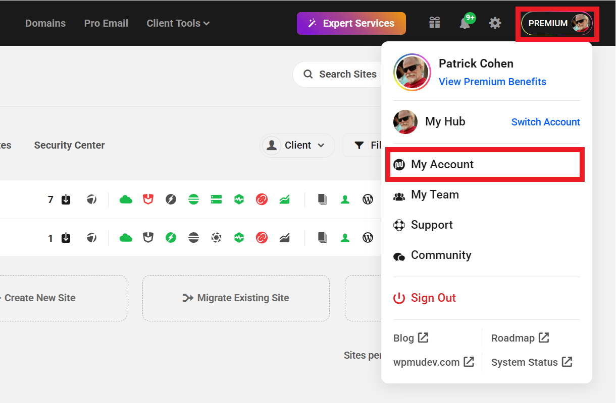 Link to your WPMU DEV account