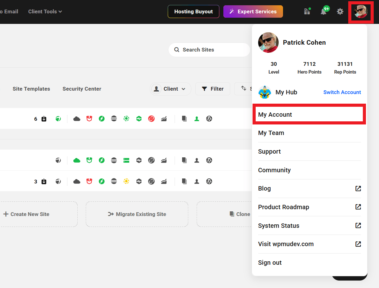 Link to your WPMU DEV account