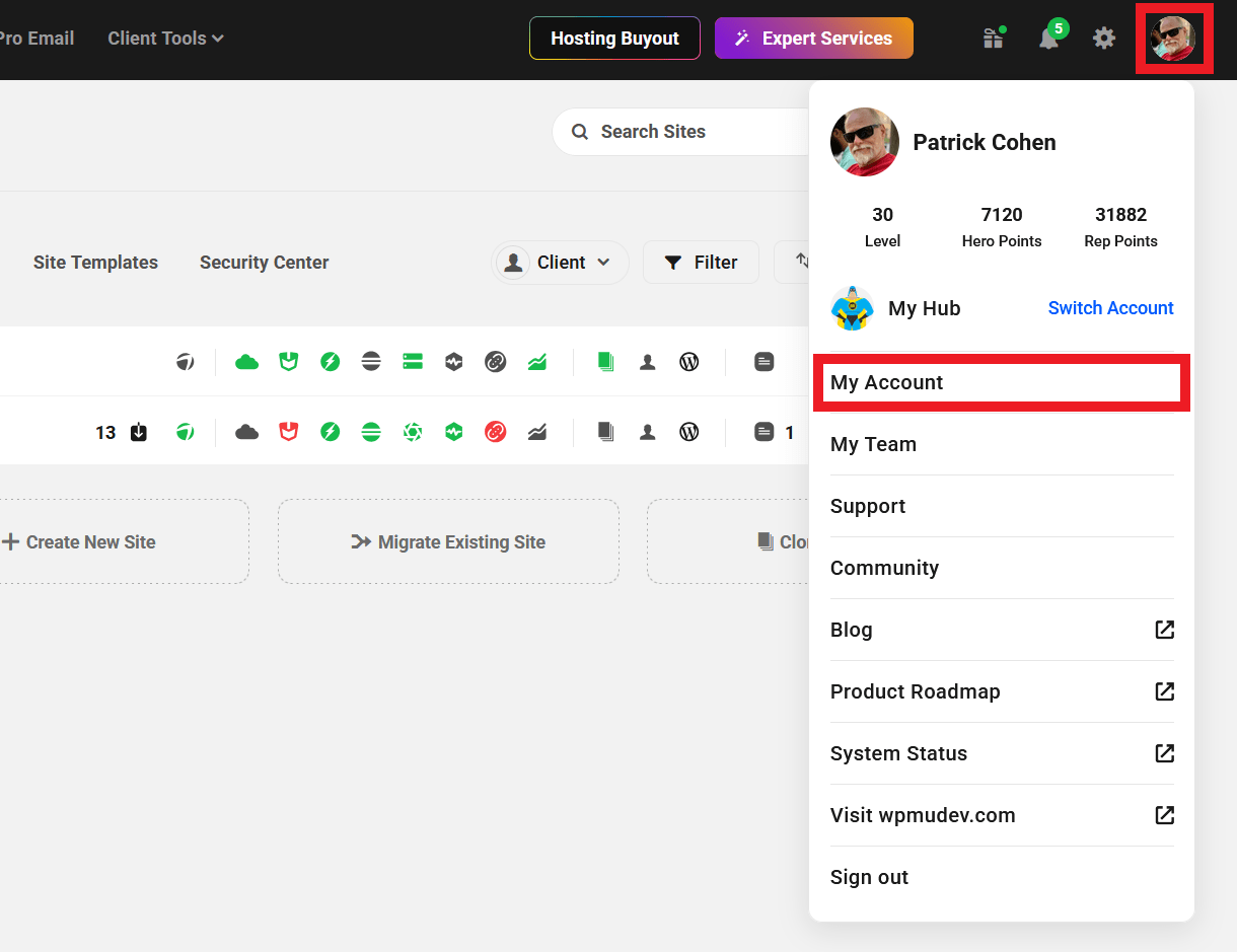 Link to your WPMU DEV account