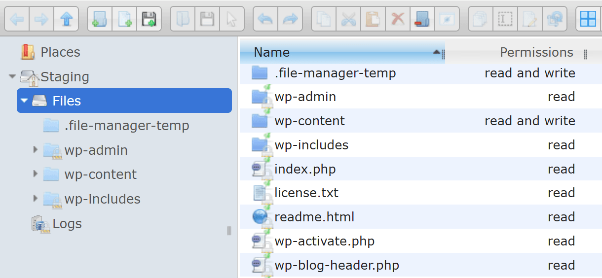 Using the file manager for staging sites