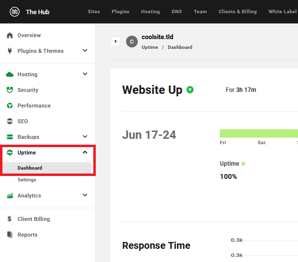 Hub 2.0 Uptime Module WPMU DEV