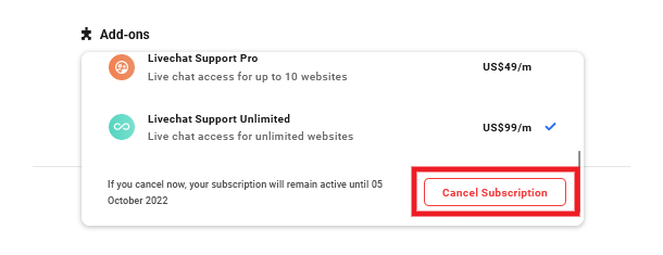 Cancel support access add-on for a team member