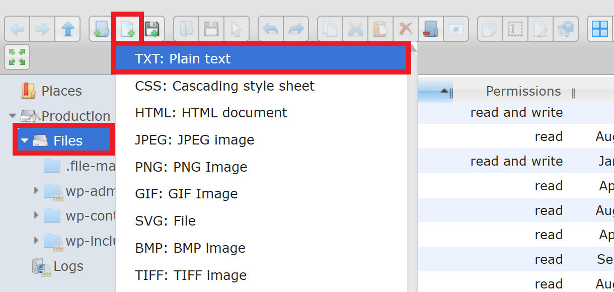 Create a new file in WPMU DEV file manager