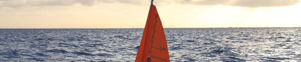 D0BEF73E D3CD 44D3 BB57 32ABEE42FE36 2 960x200