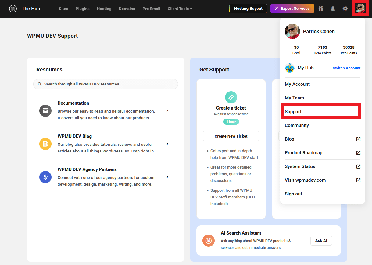 Get WPMU DEV support in the Hub