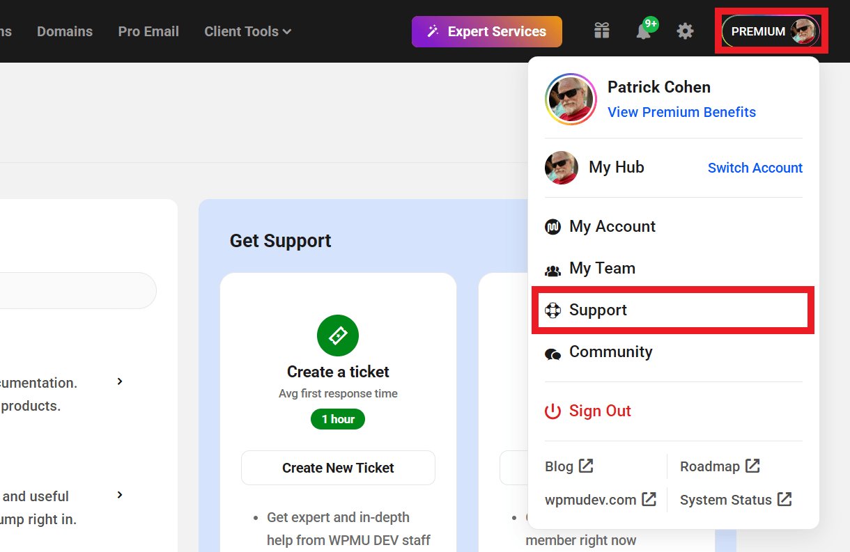 Get WPMU DEV support in The Hub