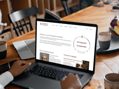 capital-web-design-site3