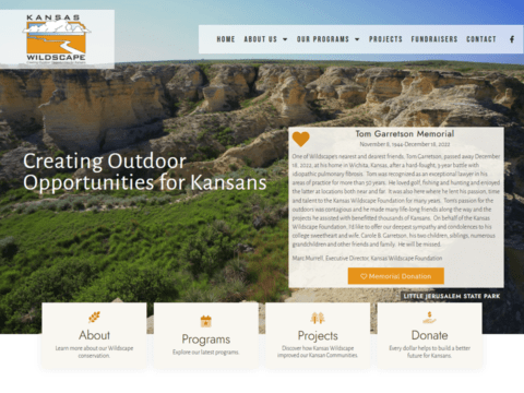 conceptyalized-design-site1