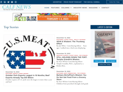 conceptyalized-design-site2