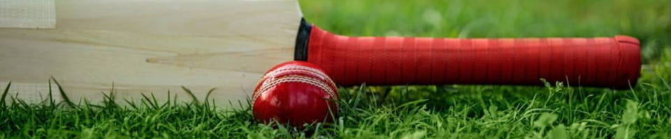 cricket bat ball 960x200