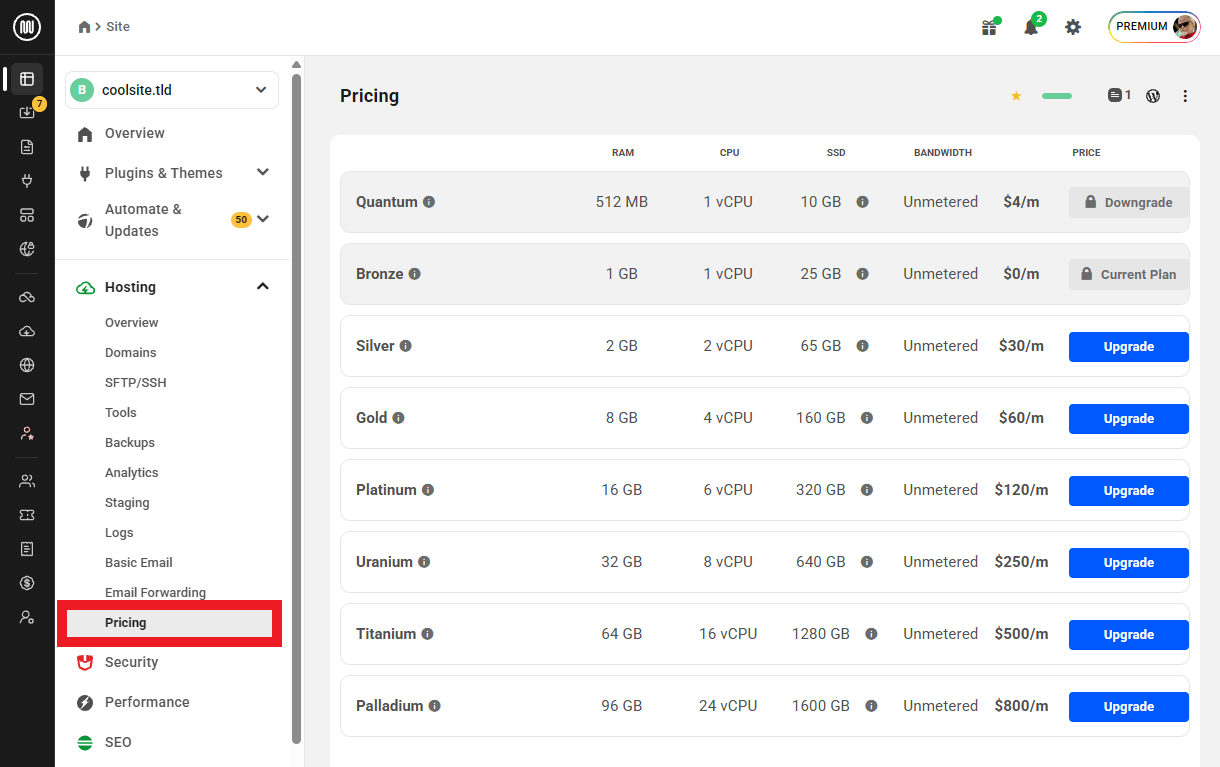 Allows the team member to view details about the available WPMU DEV hosting plans