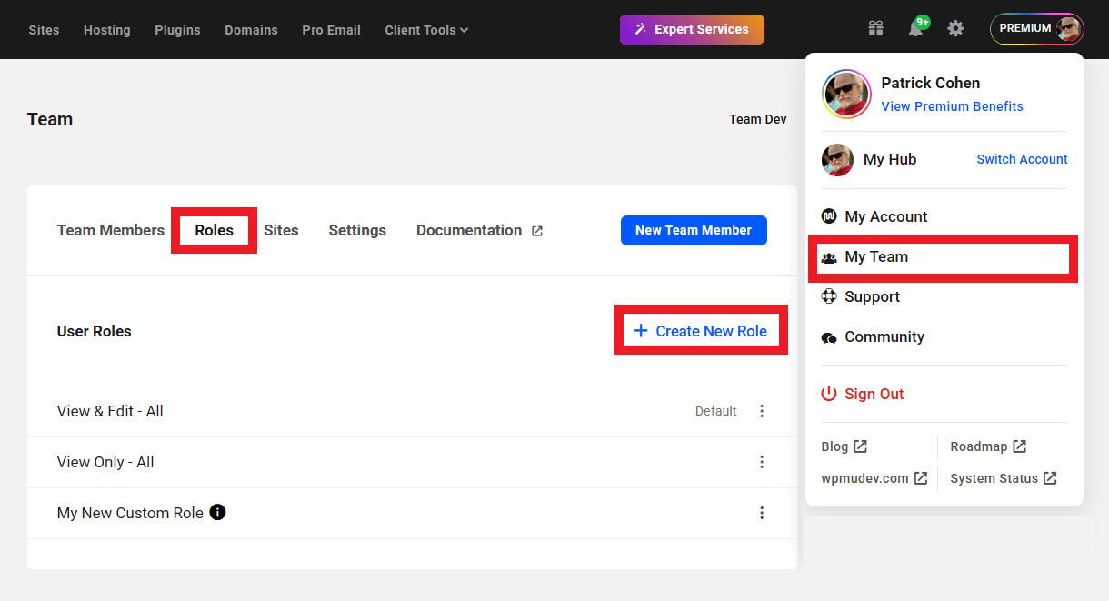 Create a new team role in the Hub