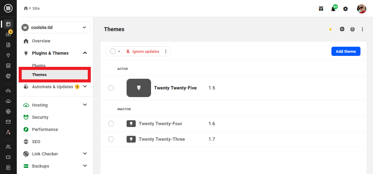 View theme information of a site