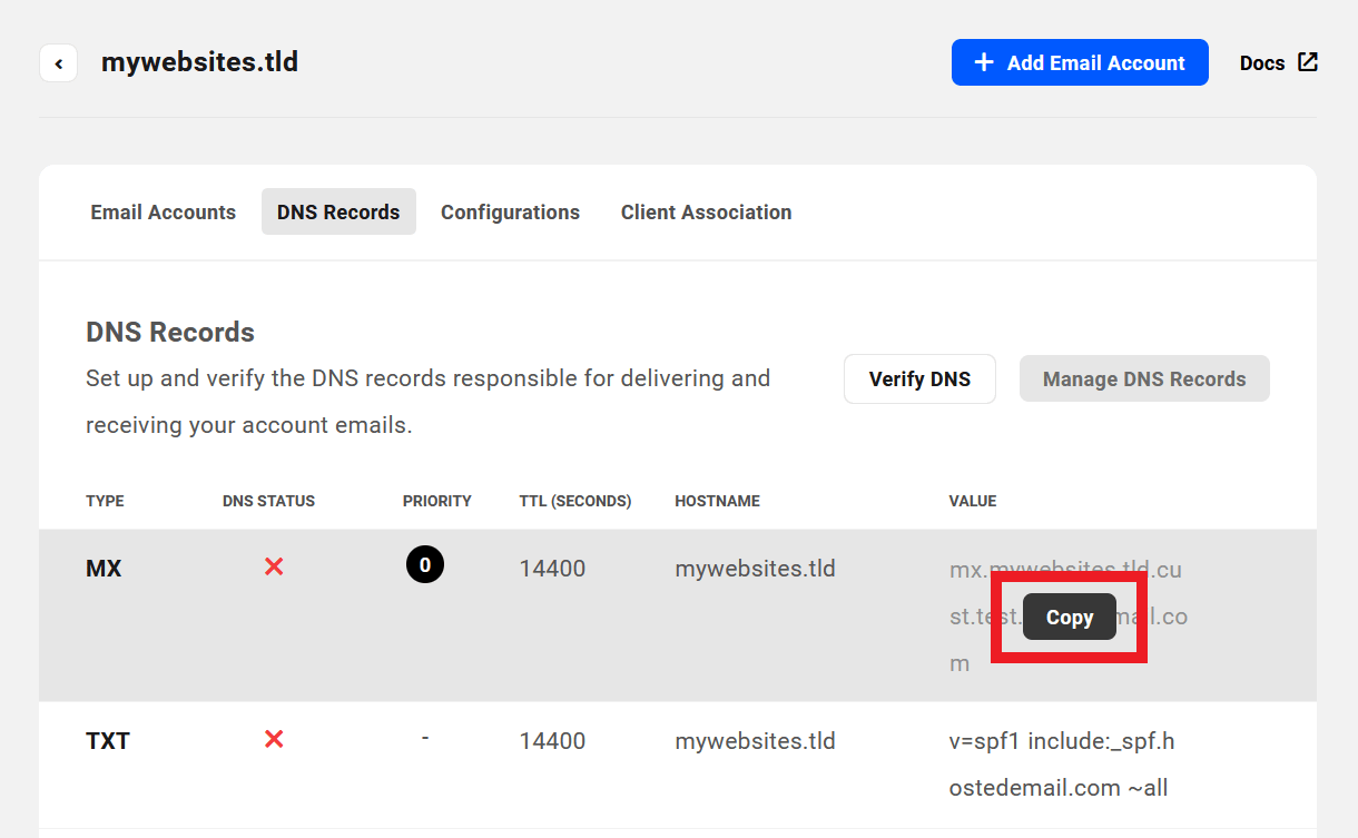 Copy DNS records for a webmail domain managed elsewhere