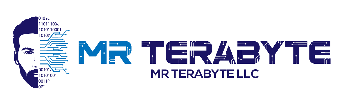mr terabyte llc logo 02