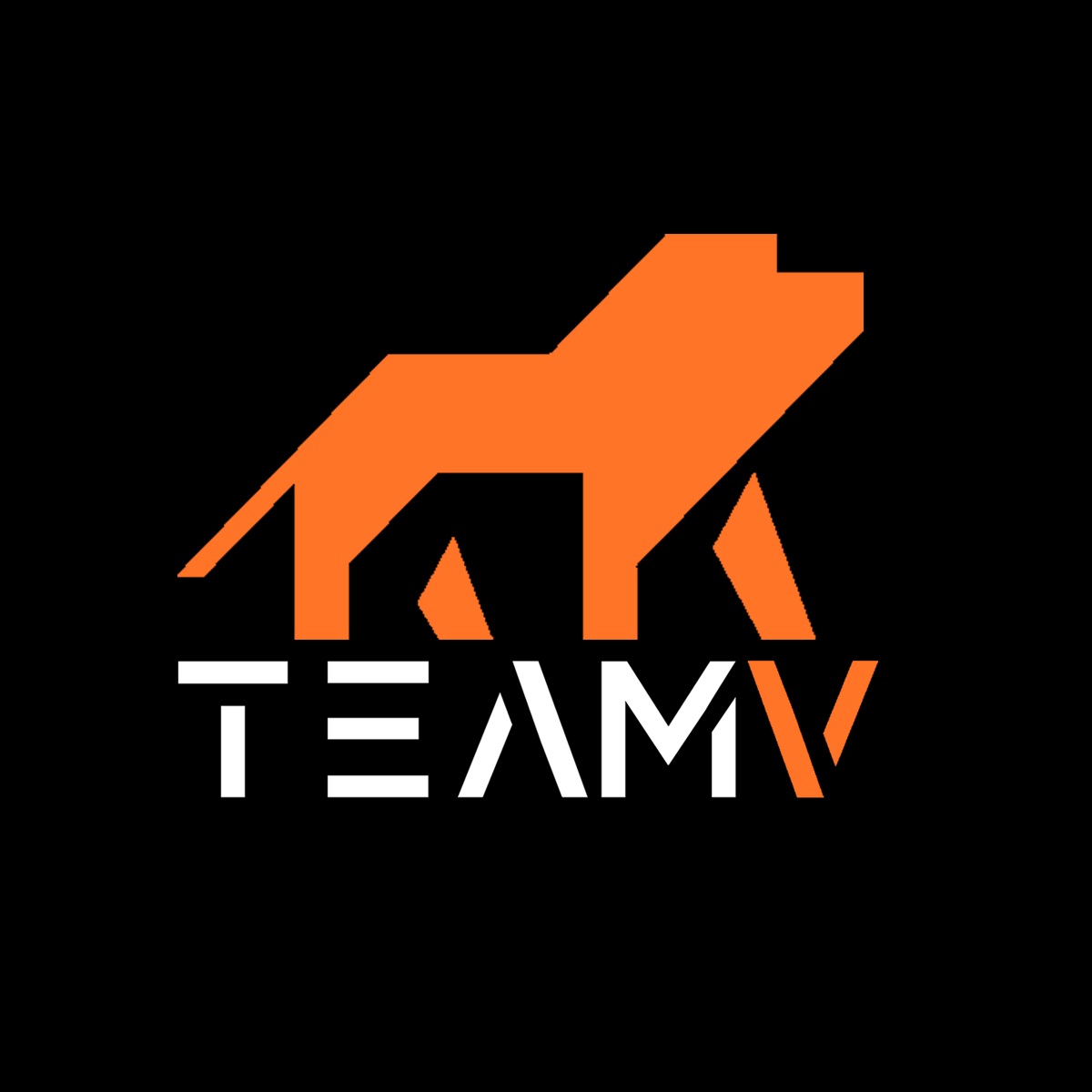 TeamV