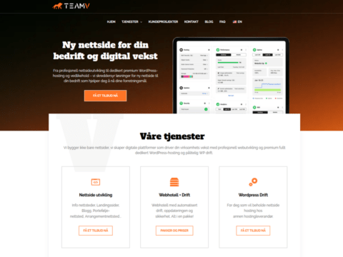 teamv portofolio 480x360