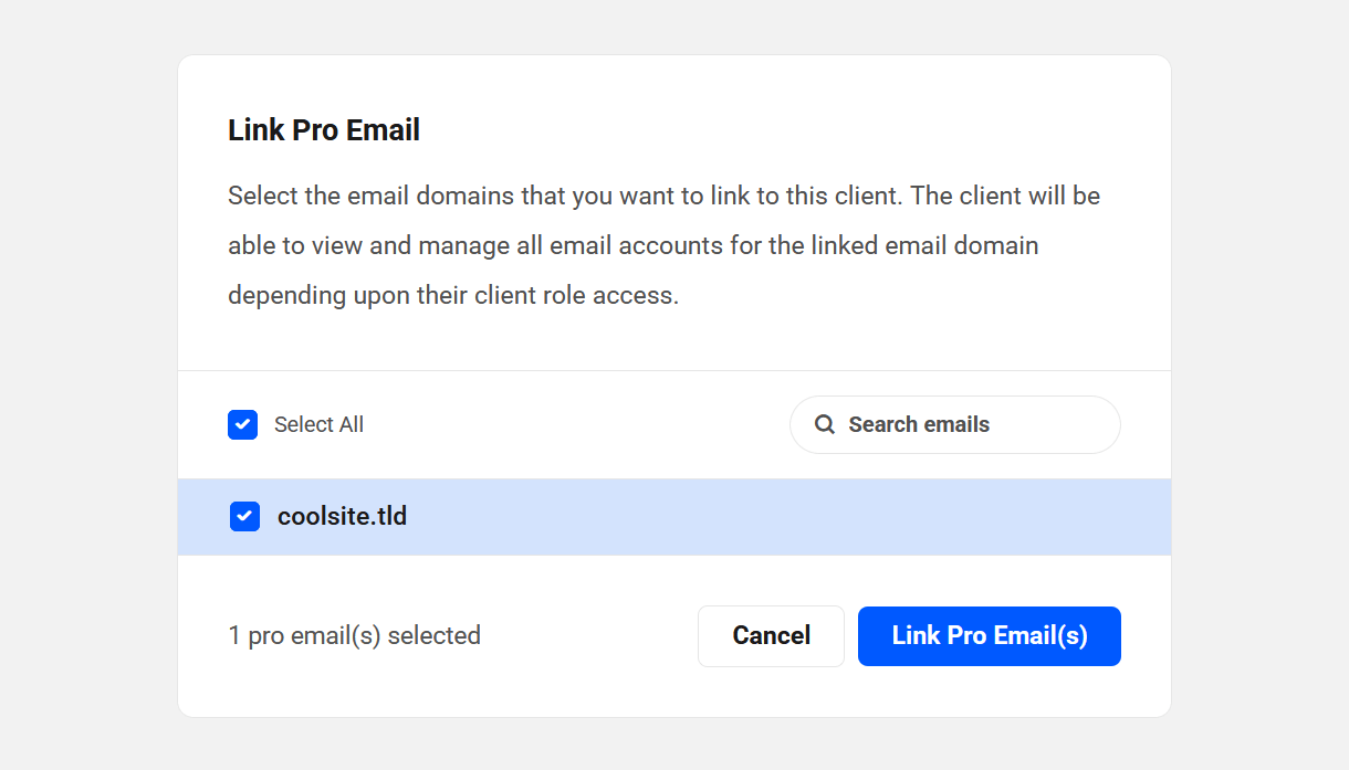 Link Pro Email domains to a client in their profile