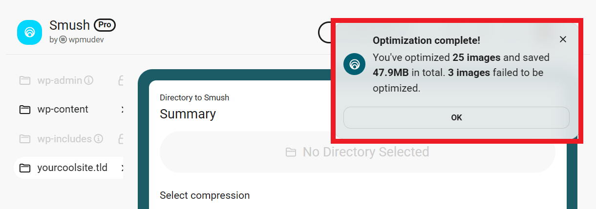 Smush directory optimization failed notification