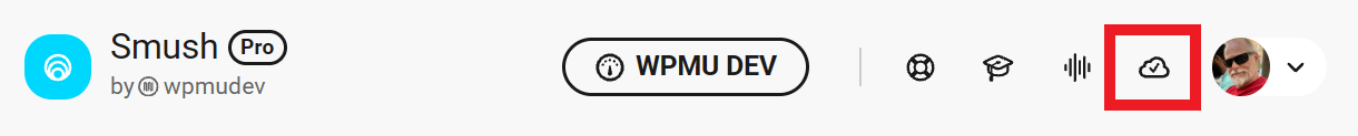 Smush autosave indicator